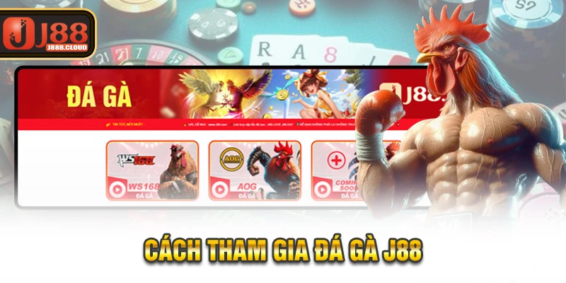 Cách tham gia đá gà J88